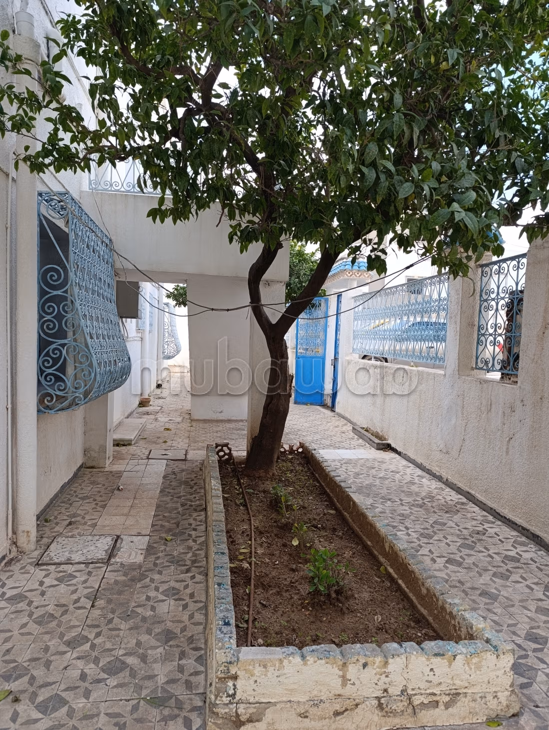 Maison de luxe à vendre à Le Bardo. 8 belles chambres. Belle terrasse et jardin