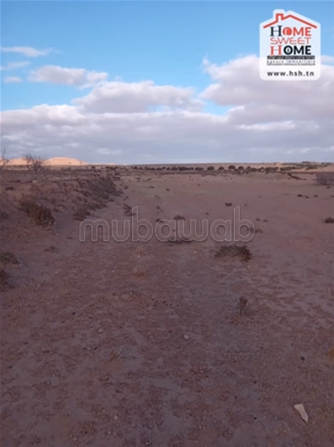 Terrain Agricole Magel Bel Abbes Vendre Kasserine