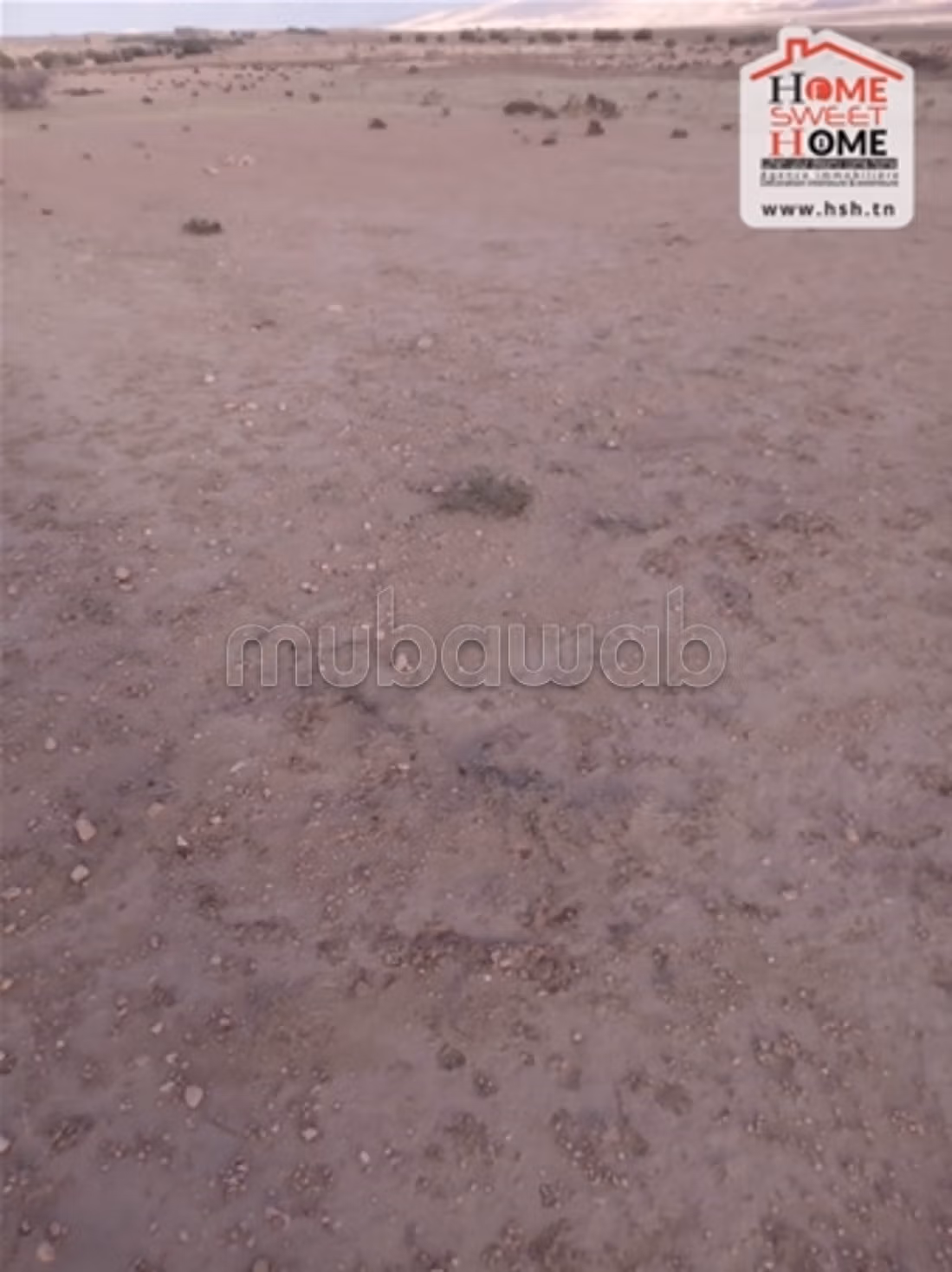 Terrain Agricole Magel Bel Abbes Vendre Kasserine