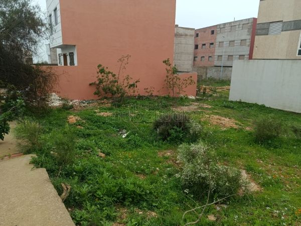 Terrain à vendre borj nador