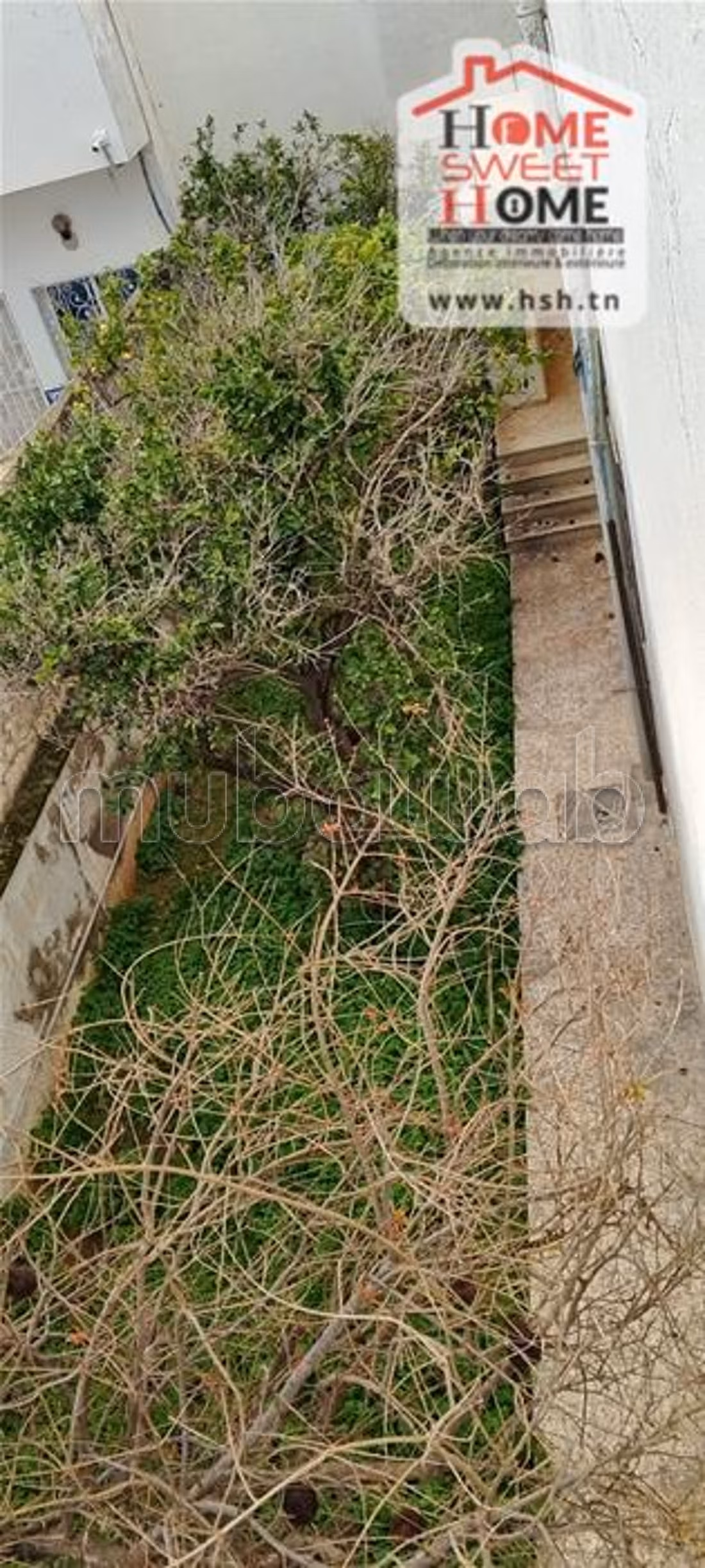 Villa Emy in vendita a Kheireddine