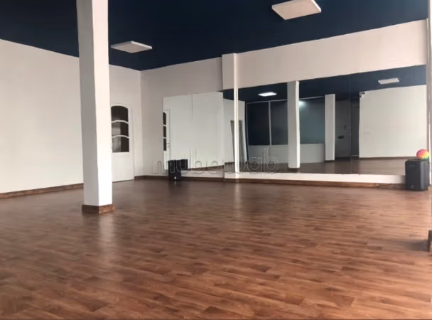 Showroom 300 m