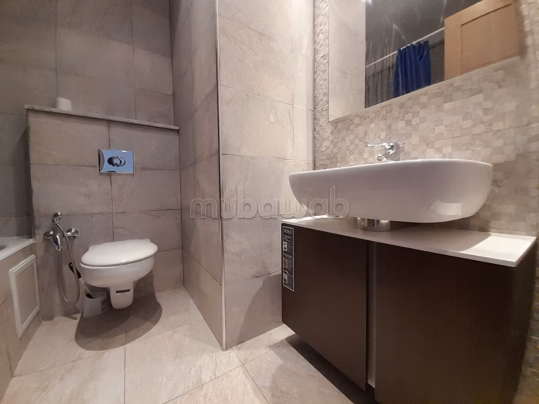 Spacious S Plus 3 Apartment with Lake View
