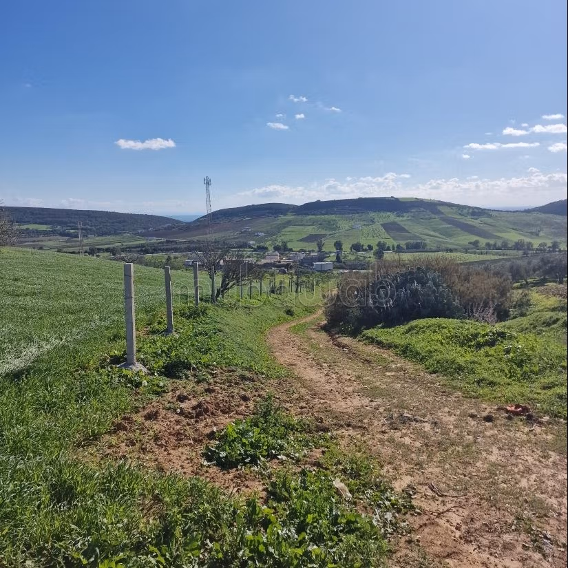 Aousja / vente terrain agricole 1 hectare et 500m2