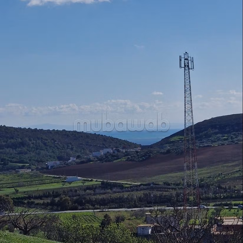 Aousja / vente terrain agricole 1 hectare et 500m2