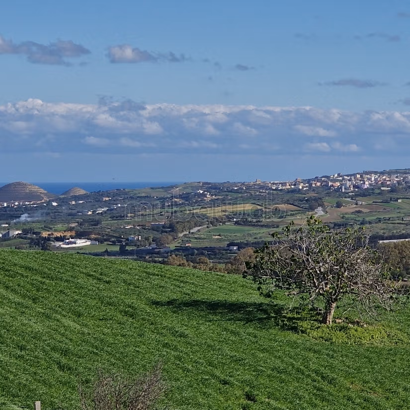 Aousja / vente terrain agricole 1 hectare et 500m2