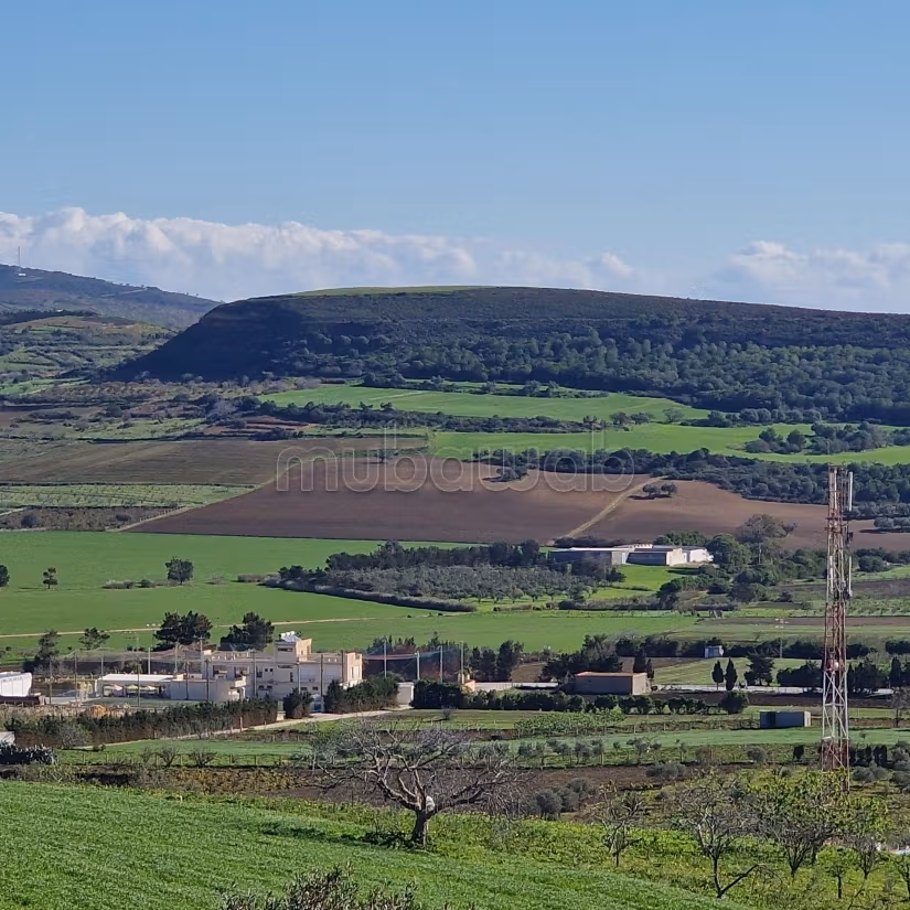 Aousja / vente terrain agricole 1 hectare et 500m2