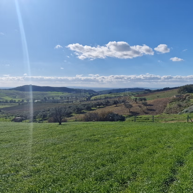 Aousja / vente terrain agricole de 2650 m2