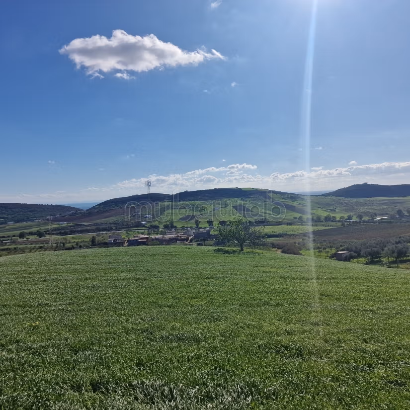 Aousja / vente terrain agricole de 2650 m2