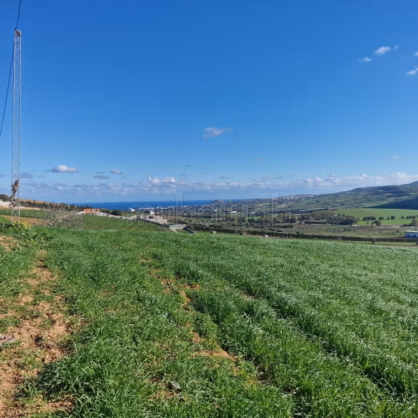 Aousja / vente terrain agricole de 2650 m2