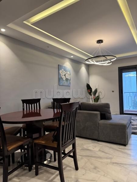 Luxueux appartement 1 chambre à louer