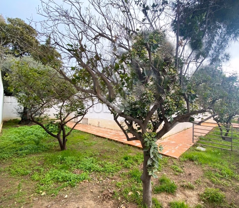 Villa individuelle en vente