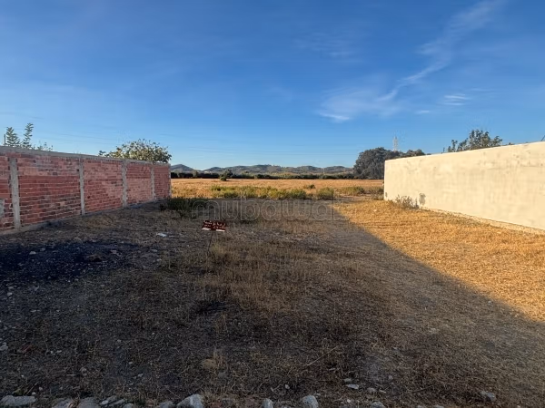 Vente de terrain à Mallalienne. 
Surface totale 300 m²