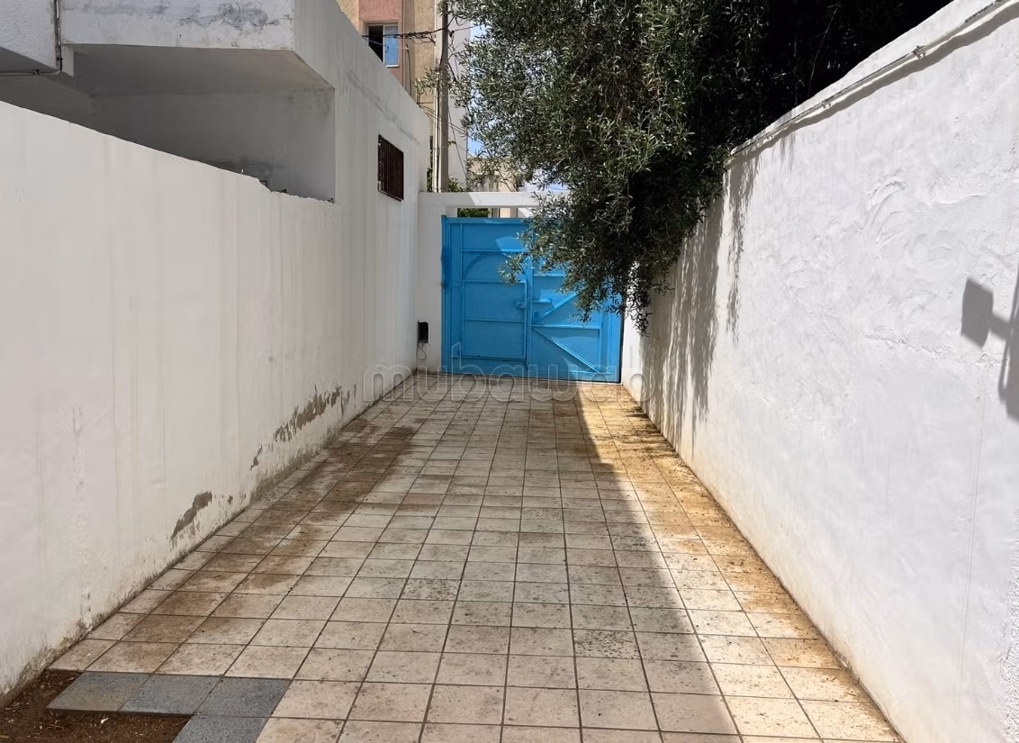 For rent annually a spacious apartment S3
