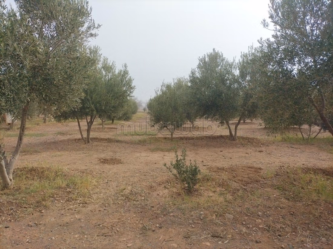 Terrain 1,670 hectares avec maison
