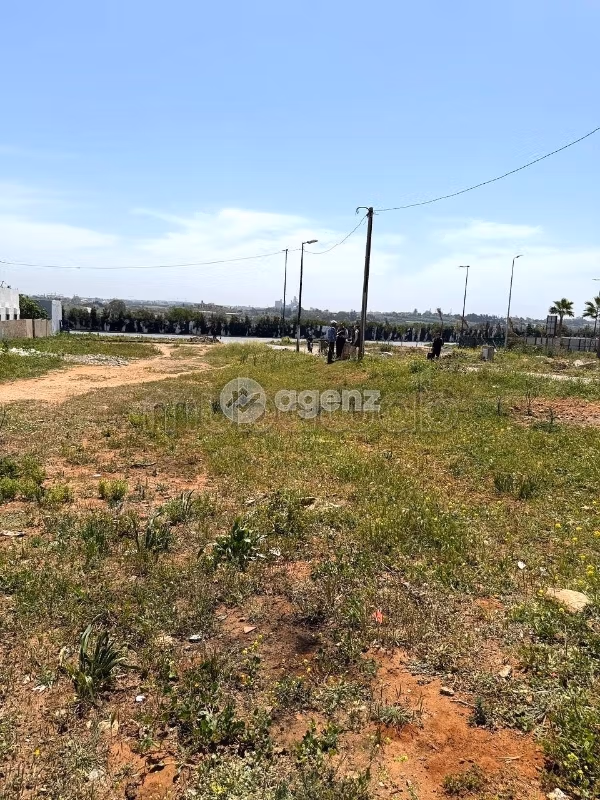 Terrain à vendre 319 m² Harhoura Skhirate Témara