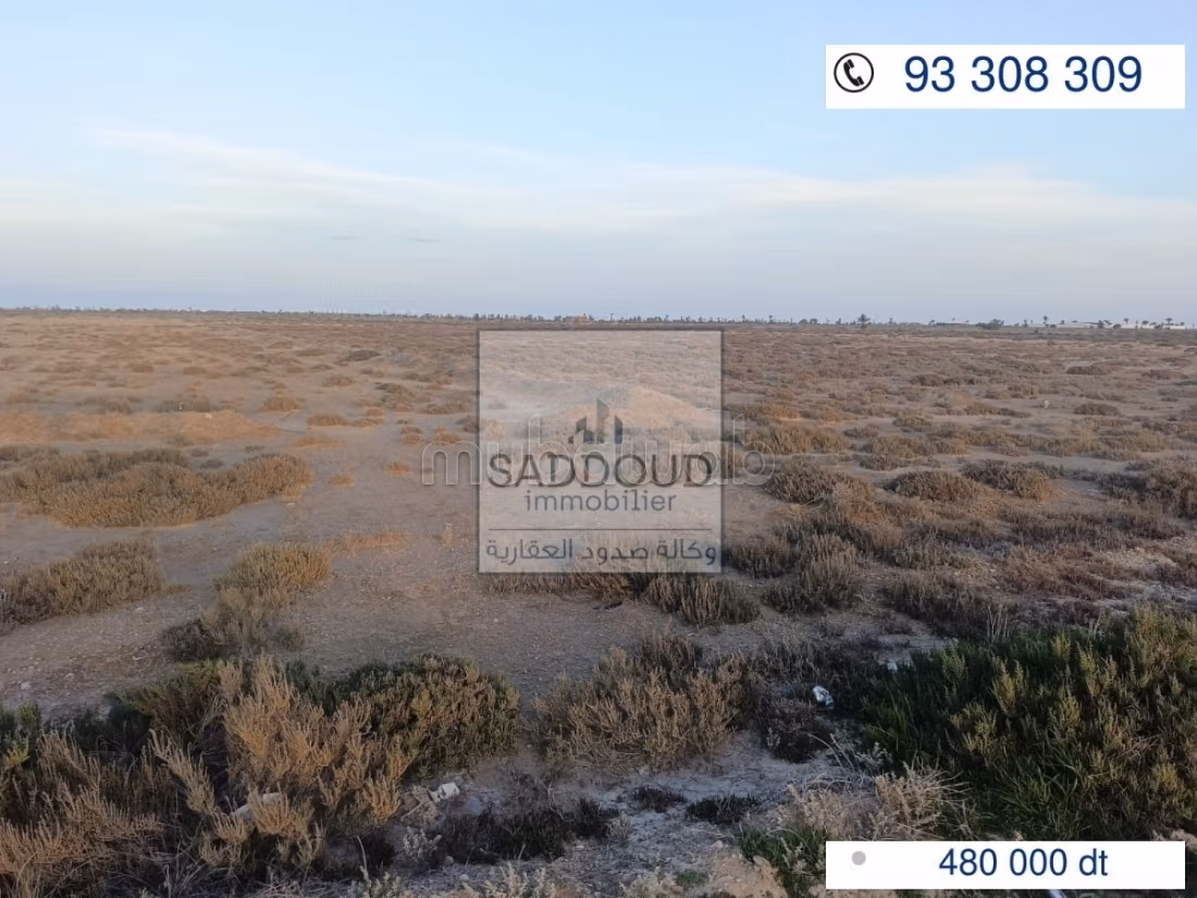 Terrain à vendre 68800 m² – Kerkennah route charki