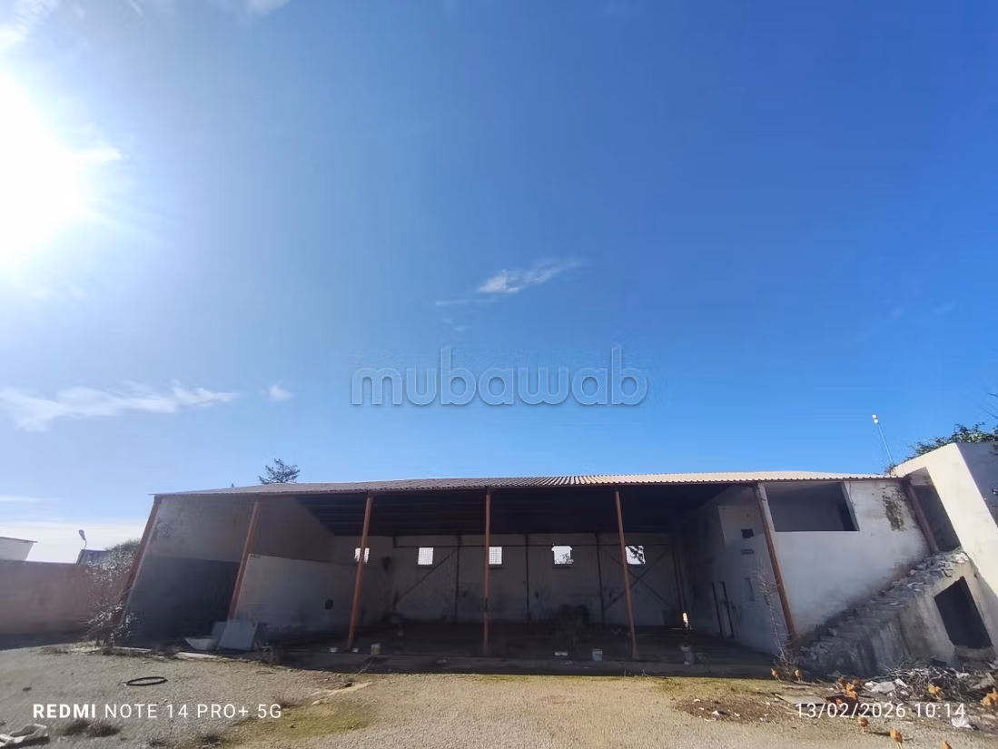 Warehouse & factory purchase in Sidi Hamed