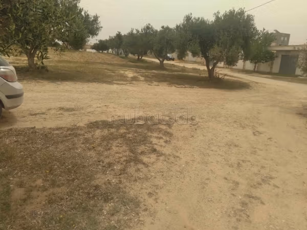 Vendita di lotti di terreno a Soliman