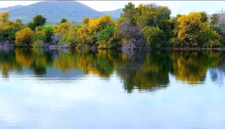 Akar / Vente / Terrain / CebalatBenAmmar