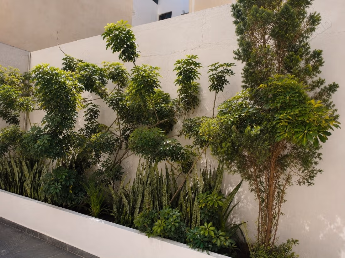 8 minutes from Casablanca Finance City Superb 250 m2