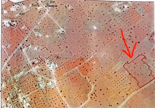 Terrain à vendre à Djerba 6111 m2