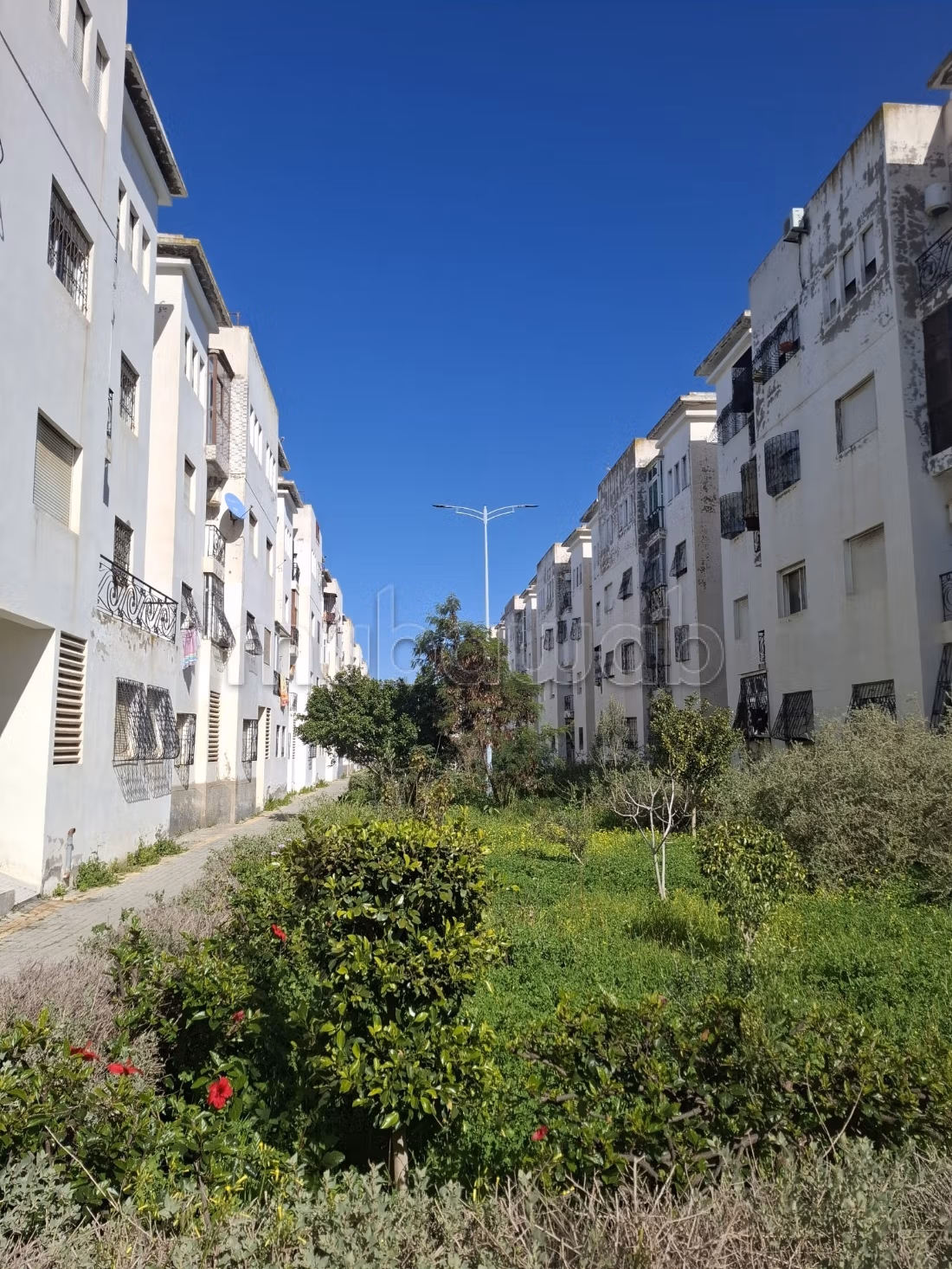 Appartement 50 m² à Hamza — 7