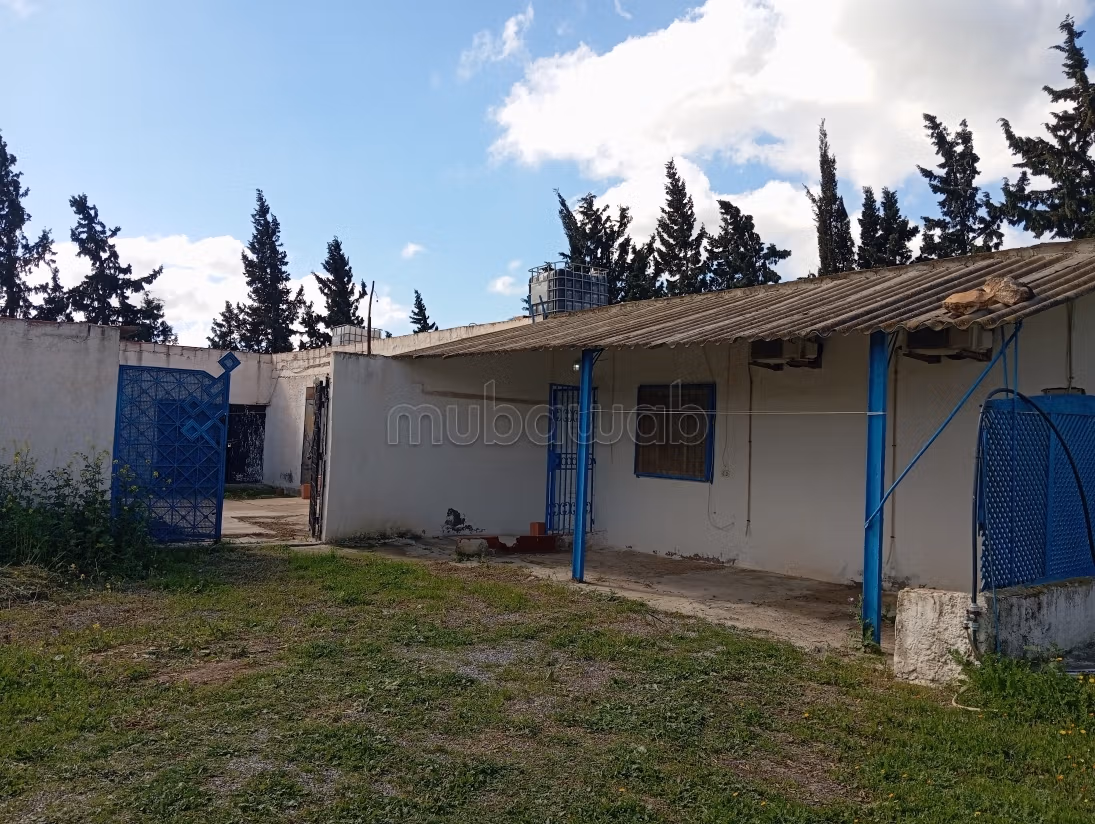 Farm for sale