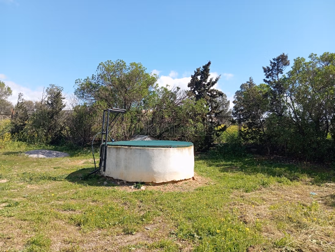 Farm for sale