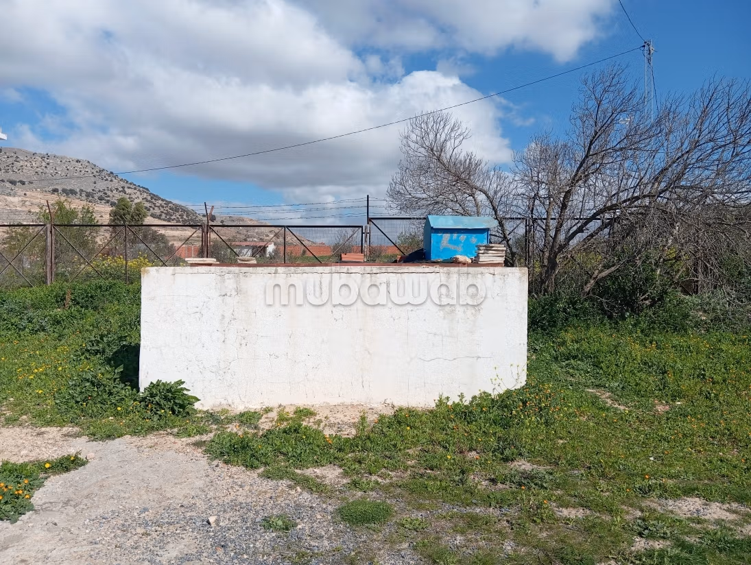 Farm for sale
