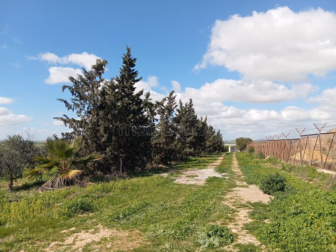Farm for sale