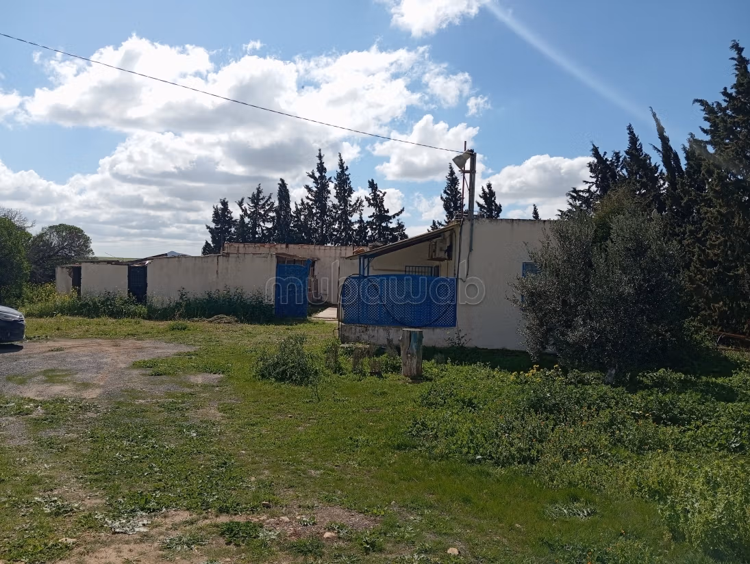 Farm for sale