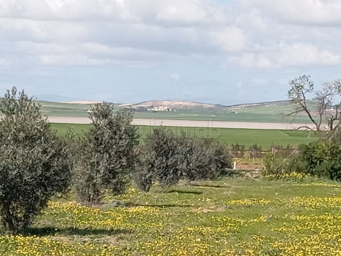 Farm for sale