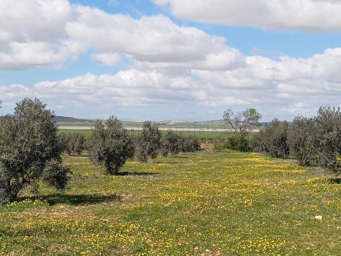 Farm for sale