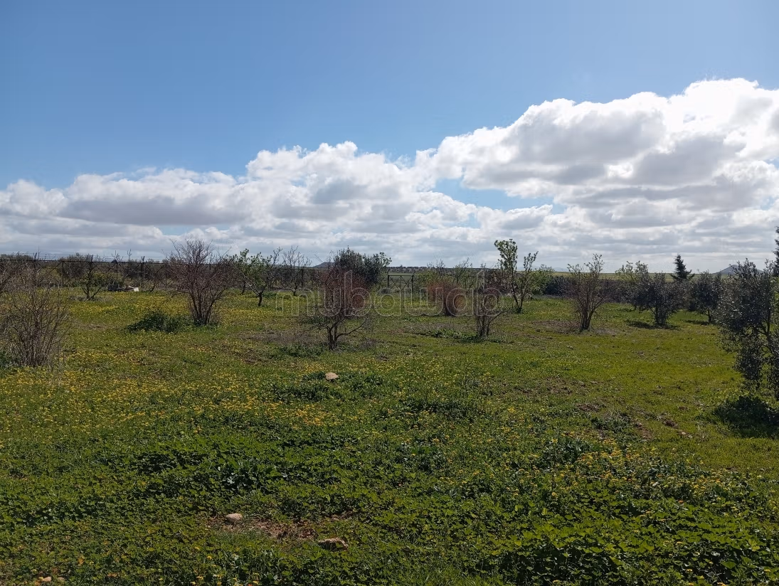 Farm for sale