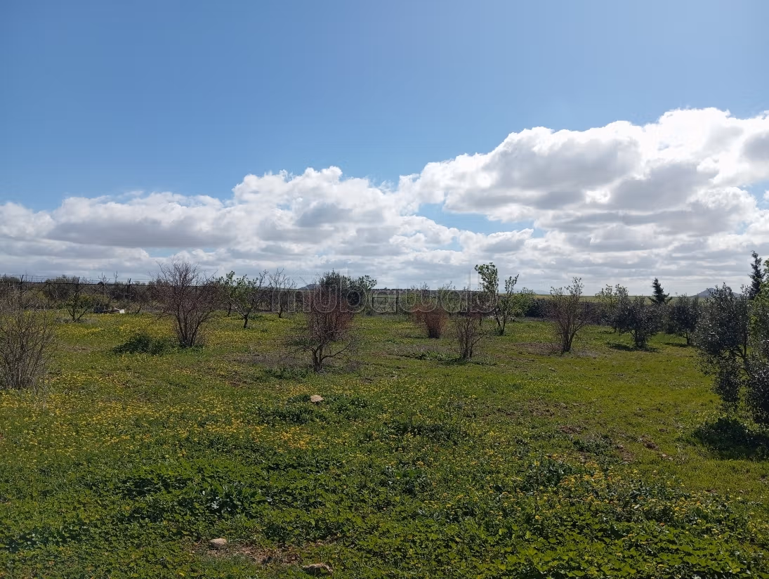 Farm for sale
