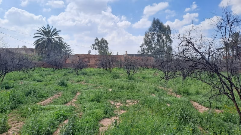 Terrain agricole a vendre