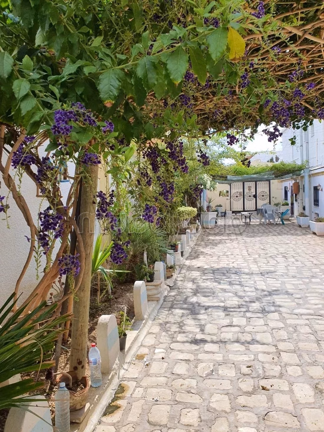 In vendita - Proprietà a Port El Kantaoui