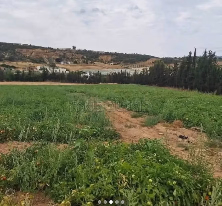 5 Hectares à Mornag direct propriétaire