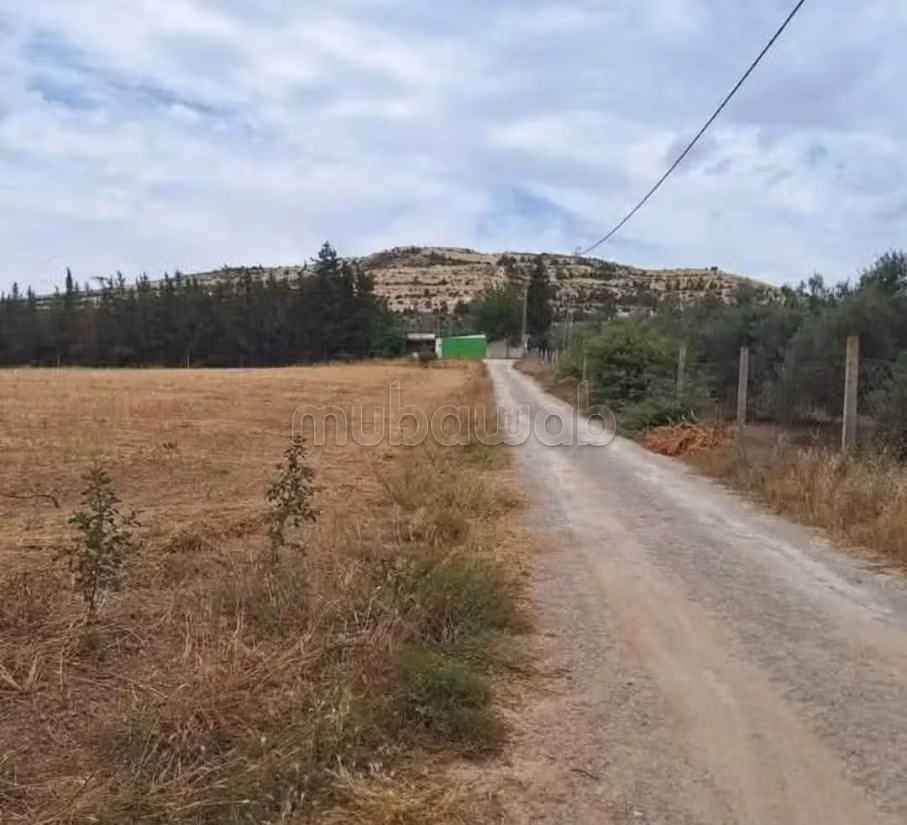 5 Hectares à Mornag direct propriétaire