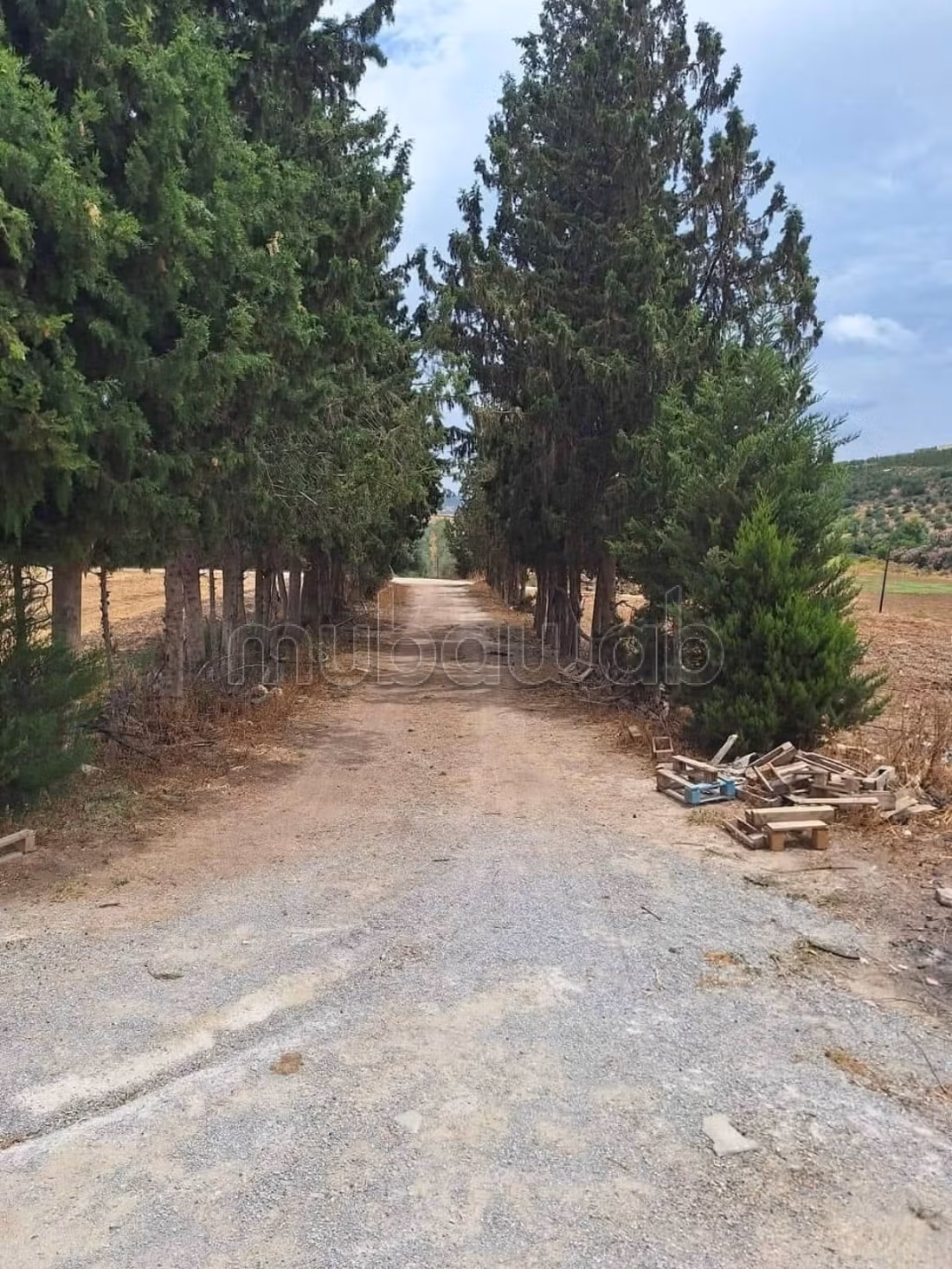 5 Hectares à Mornag direct propriétaire