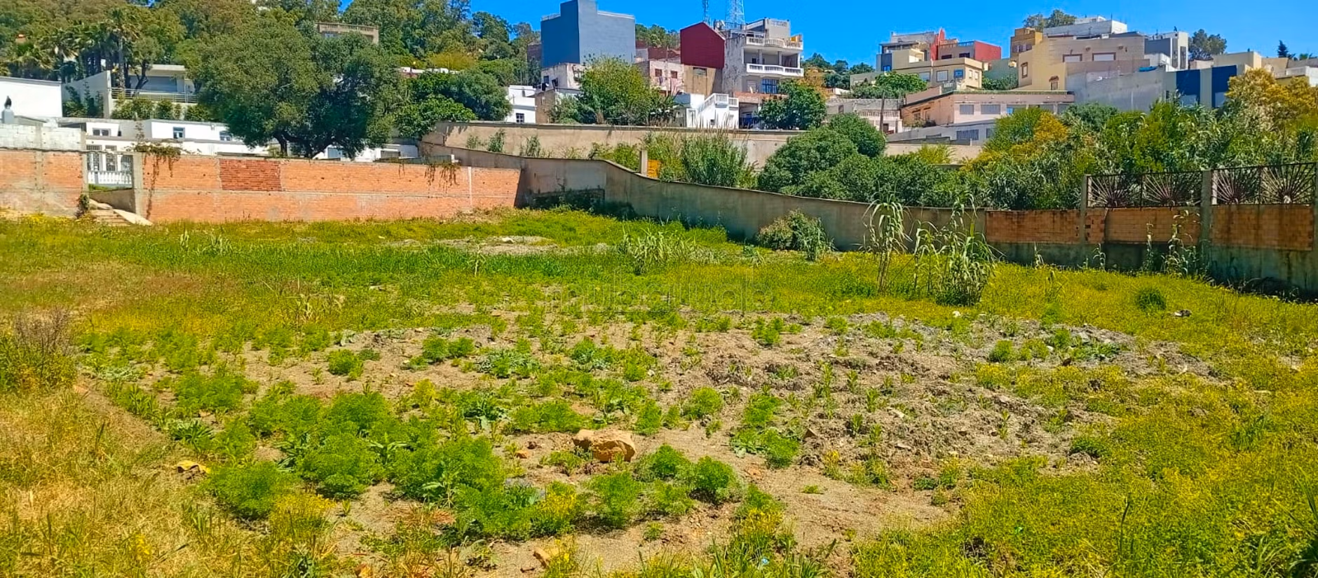 Terrain 2200m² Tanger Front Rue ZRM