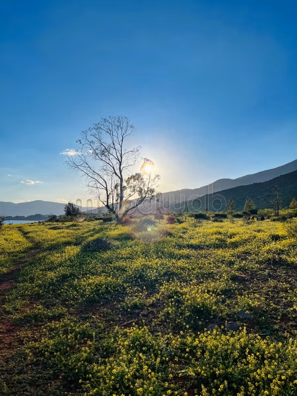 Terrain en vente à Bin El Ouidane. Surface totale 2500 m²