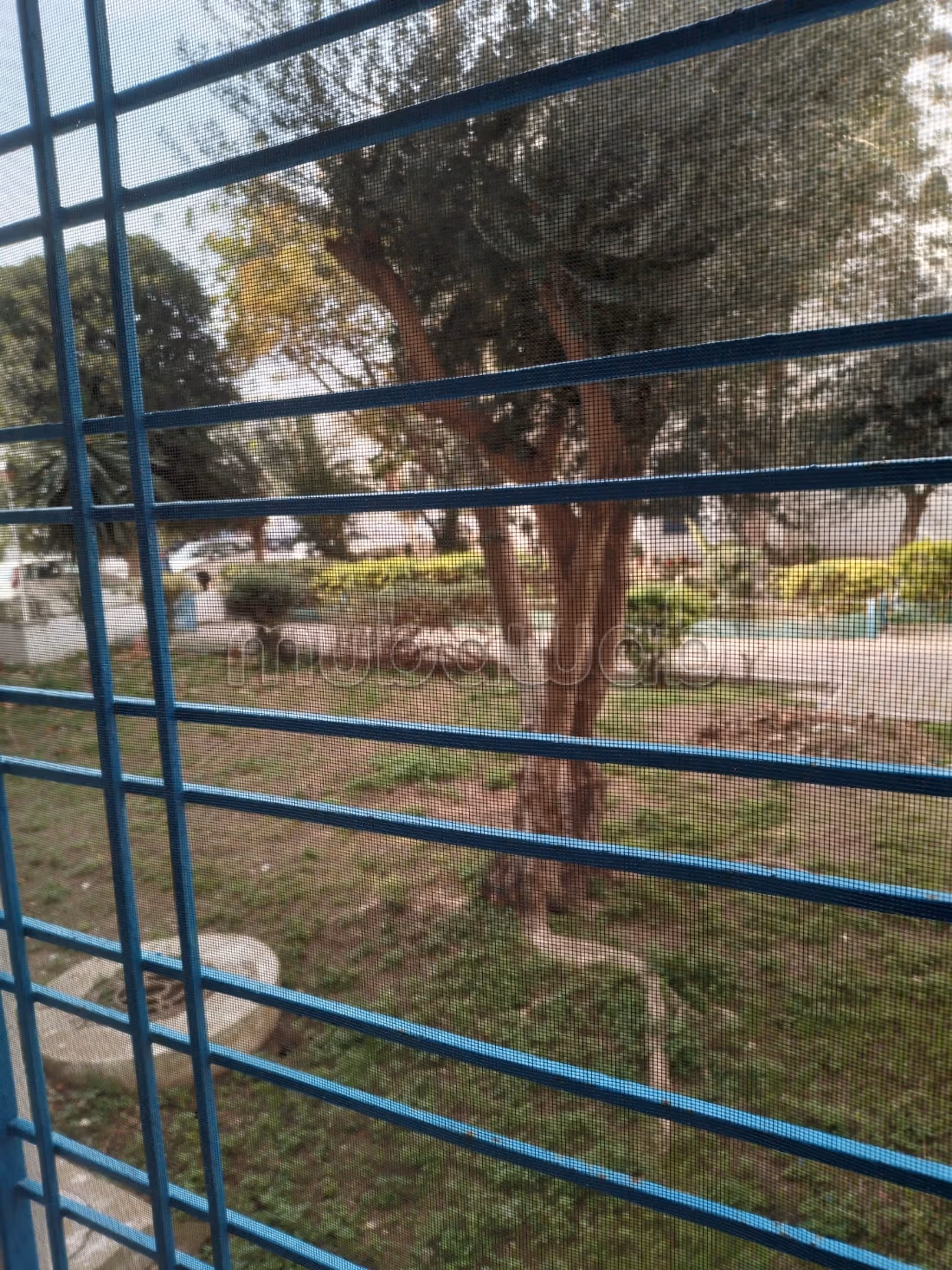 Vends a carthage byrsa appartement lumineux rdc
