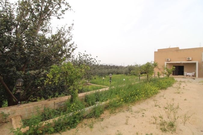 Propriété avec maison et terrain arboré