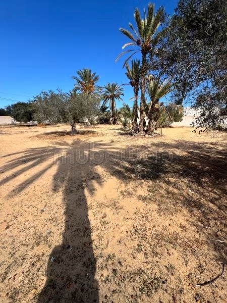 Land for sale. Small area 900 m²