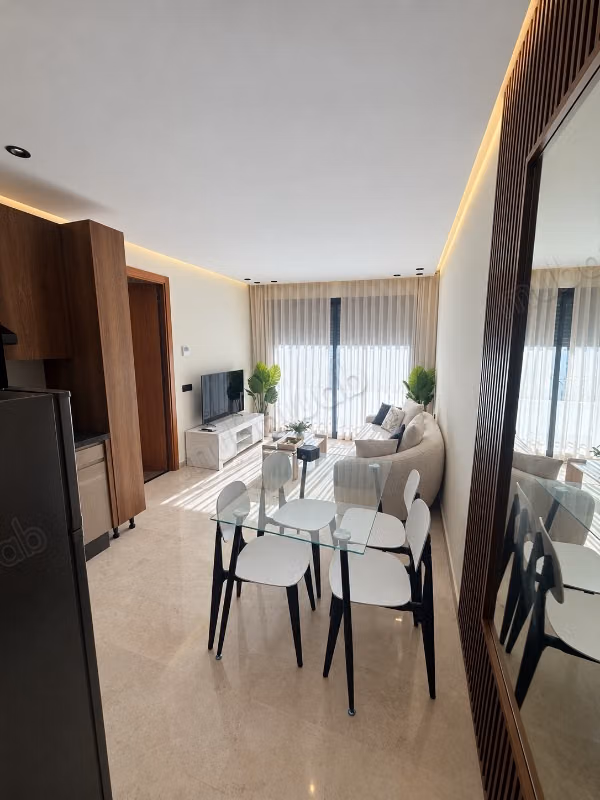 Appartement 1 Chambre