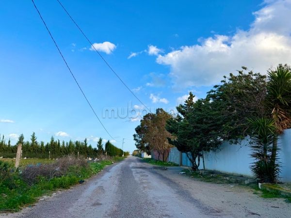 Terrain 10 min de Yasmine Hammamet nature calme