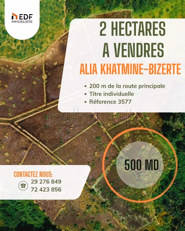 2 Hectares A Vendre à Khetmine lAlia Bizerte