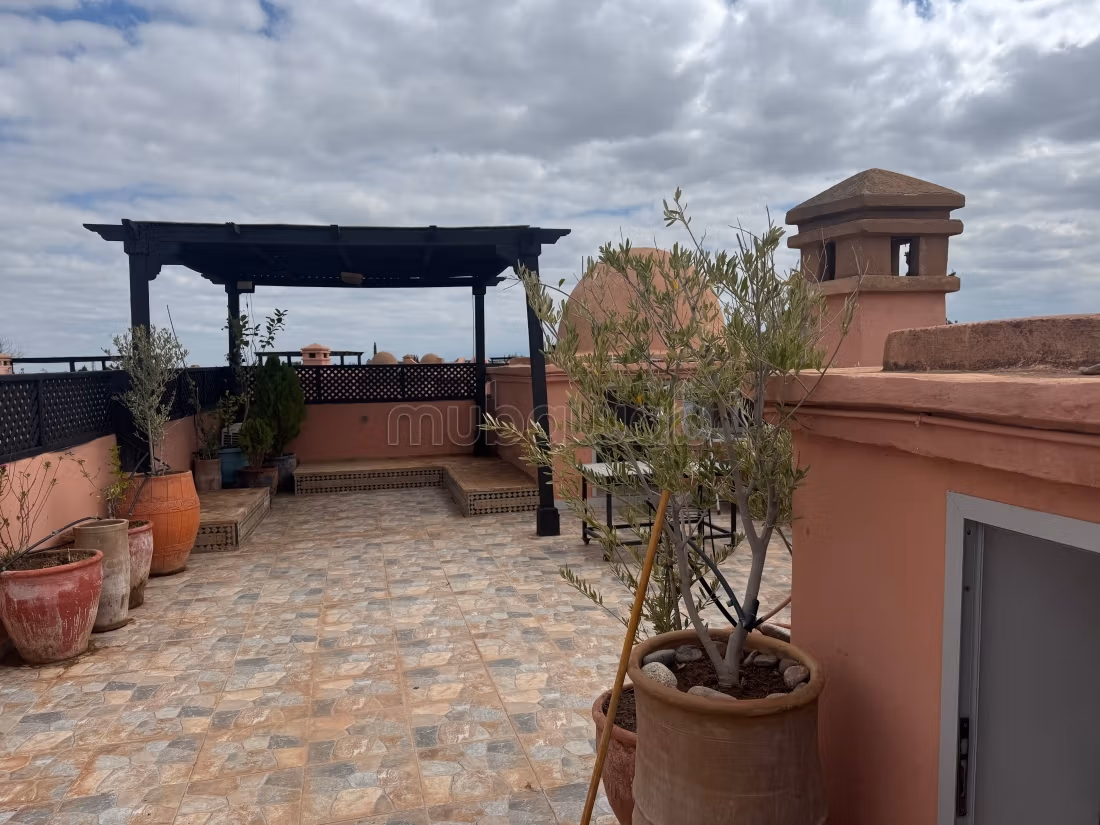 Bel appartement à vendre avec un toit — 3